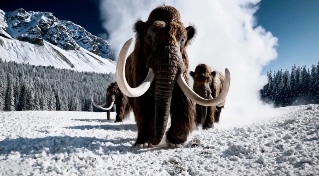 Captura de pantalla 2024-02-19 a la(s) 11.15.51 a. m.